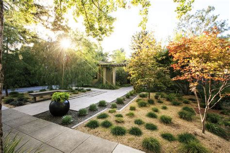 In this front garden a simple planting of grasses and sedges forms a subtle, green. Landscaping without Grass - Sunset Magazine