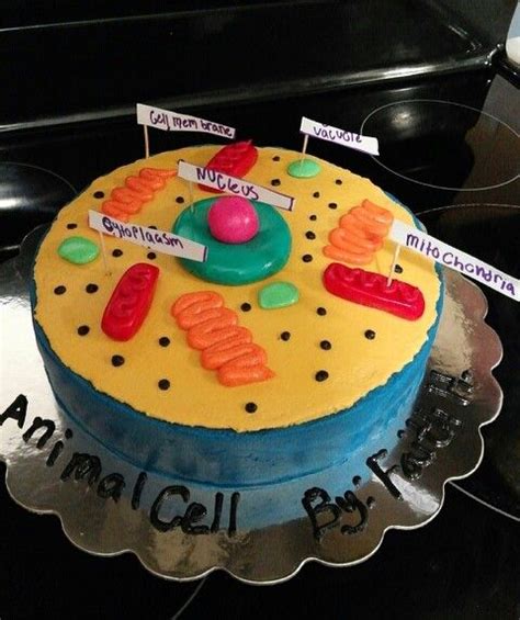Animal Cell Model Project Cake