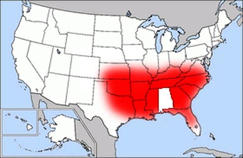 Has Alabama Seceded From The Bible Belt