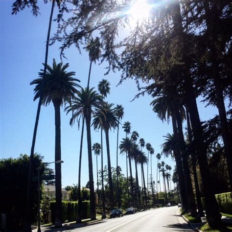 The Palm Tree Lined Streets Of Beverly Hills California It Really Is