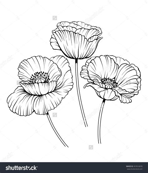 Poppy Flower Tattoo Poppies Tattoo Poppy Drawing Flower Drawing