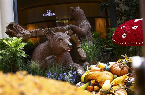 Bellagio Conservatory Greets Fall With Magical Garden Display Las
