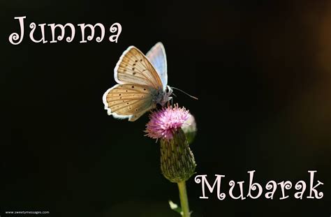 We did not find results for: JUMMA MUBARAK IMAGES - Beautiful Messages