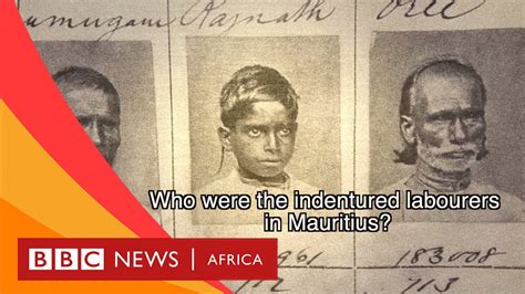 indentured labour in mauritius explained bbc what s new youtube