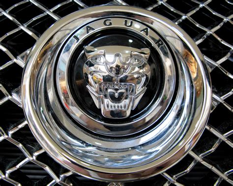 History of All Logos: All Jaguar Logos