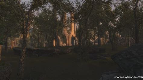 Sun Setting In A Blackwood Ruin Rskyblivion