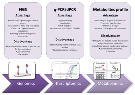 Pcr And Ngs In Acute Myeloid Leukemia Encyclopedia Mdpi