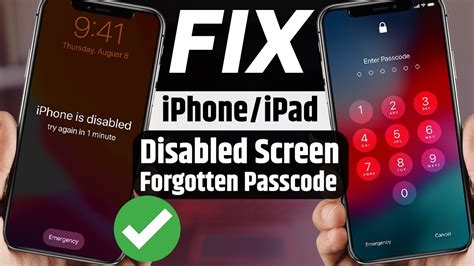 2 Ways To Unlock Iphone When You Forgot Iphone Password Fix Iphone Is Disabled Forgotten