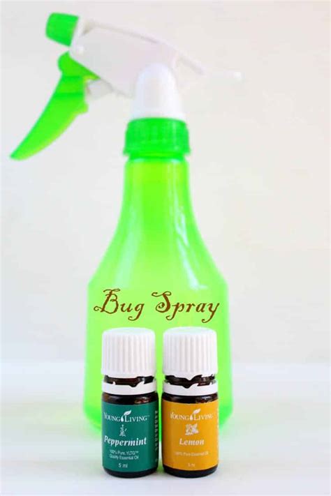 Homemade Bug Spray Recipe Made With All Natural Ingredients