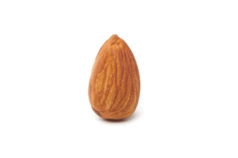 Premium Photo One Almond Nut Isolated On White Background Nuts And