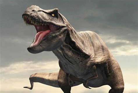 Tyrannosaurus Rex Had Air Con In Its Head Bbc News