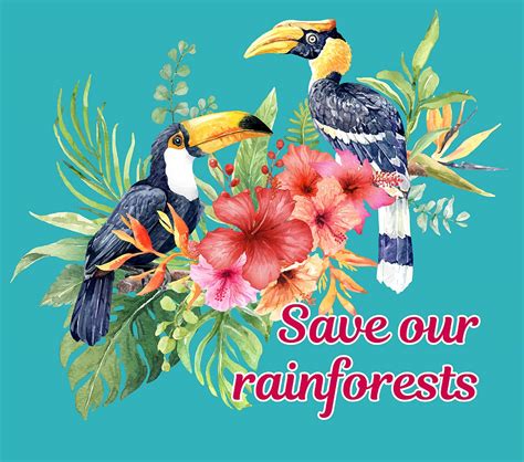 Hornbill Save Our Rainforests Quote Cool Painting By Nikki Patel Fine