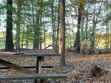 Killens Pond State Park Camping | The Dyrt
