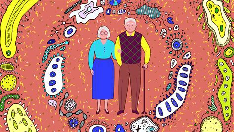Gut Microbiome Implicated In Healthy Aging And Longevity · Institute