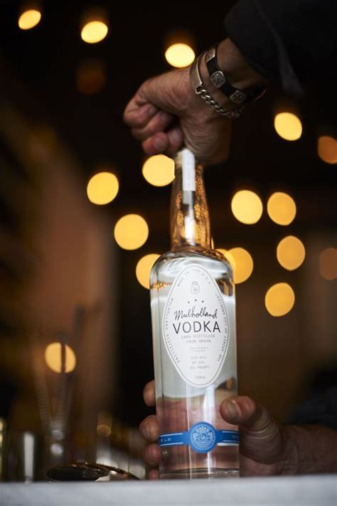 From cheap russian classics like smirnoff to premium french vodkas such as grey goose, there's a lot to choose from when shopping for vodka. 16 Best Vodka Brands of 2020 - Great Cheap Vodka for Cocktails