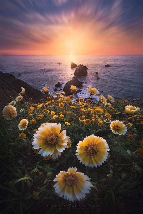 Such firms are likely to have the strongest. California Seascape Photography - Michael Shainblum ...