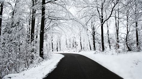 Nature Winter Snow Road Wallpapers Hd Desktop And