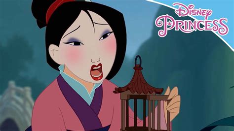 Mulan Reflection Disney Princess Youtube