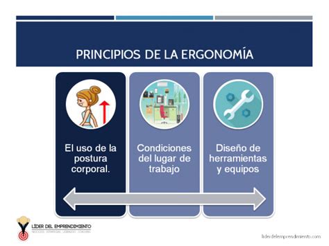 Qué es la ergonomía y cuáles son sus tipos Líder del Emprendimiento