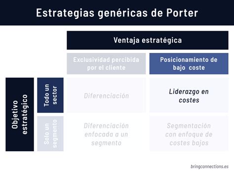 Estrategias De Porter ¿qué Son Ejemplos Reales Bring Connections
