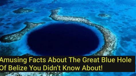 Amusing Facts About The Great Blue Hole Of Belize You Didnt Know About
