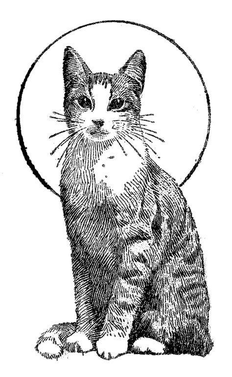 Cuddly cute cats and kittens; Cat Coloring Pages - coloring.rocks!