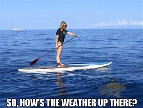 Meme Weather Seems Good Viral Viral Videos