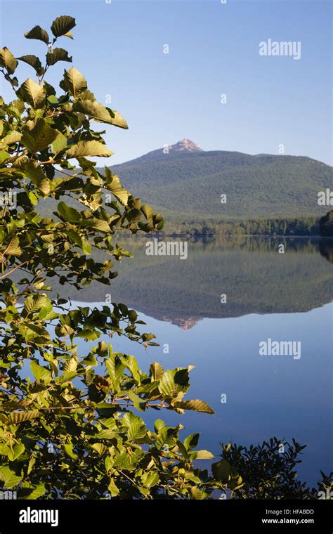 Mount Chocorua From Chocorua Lake In Tamworth New Hampshire Usa During