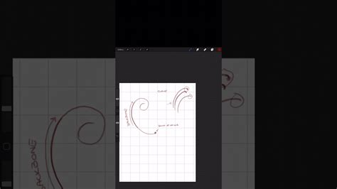 How To Draw Scrollwork And Filigree Tutorial Pt 1 Youtube