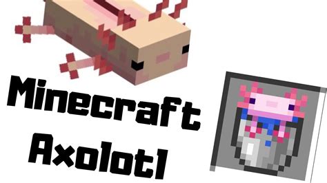 Just A Minecraft Axolotl Swimming For 14 Minutes Youtube