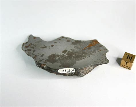 Double Unm Numbered Rare Historic Iiiab Henbury Iron Meteorite 13321g