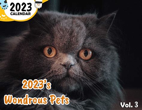 2023s Wondrous Pets Volume Three 2023 Wall Calendar Pre Order