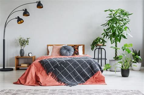 1 Bedroom Interior Designs In Kerala Amazing New Trends In 2021