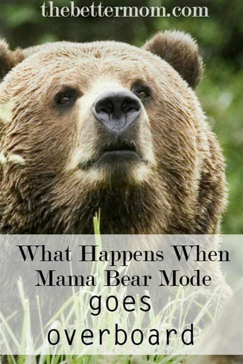 What Happens When Mama Bear Goes Overboard — The Better Mom