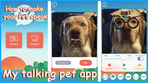 The #1 hit app as seen on tv! Voted #1 for 7 Apps That Cat Owners Should Definitely Have ...