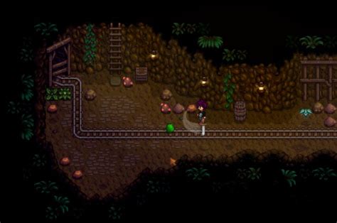 Stardew Valley - Beginners & Advanced Gameplay Tips