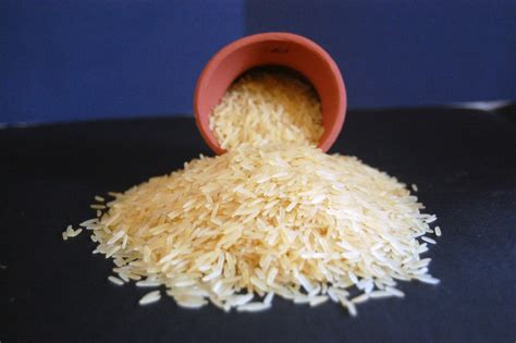 This presentable basmati rice is very well known for its high nutritional value. TRADITIONAL GOLDEN BASMATI RICE - Midas Overseas