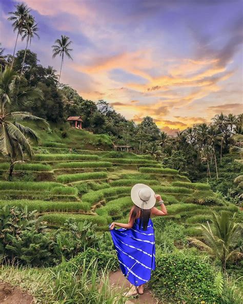 The Naturally Gorgeous Tegalalang Terrace Rice Field Bali Experience Bali With The Best Tour