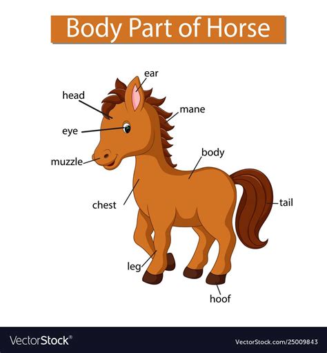 In physics and engineering, a free body diagram (force diagram, or fbd). Pin on QUIET BOOK - Animals
