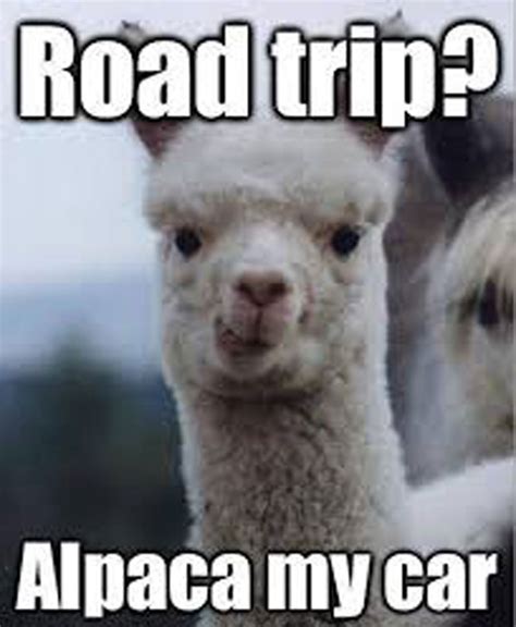 That means it's time for some fresh road here we go, all the road trip memes you need to kick start your next adventure. 100+ Hilarious Road Trip Memes & Cartoons - Truth About ...