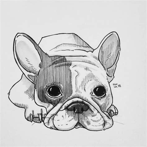30 Dog Drawing Animal Drawings Animal Drawings Sketches Dog Drawing