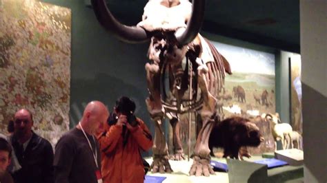 Exhibits Of The Smithsonian Museum Of Natural History Youtube