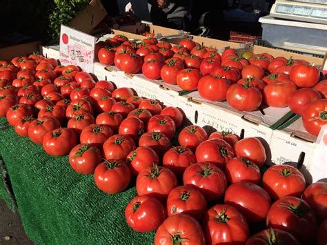 Grow Beefsteak Tomato Garden Design Ideas
