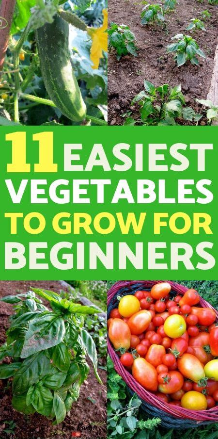 11 Easiest Vegetables To Grow For Beginning Gardeners Easy Vegetables To Grow Vegetable