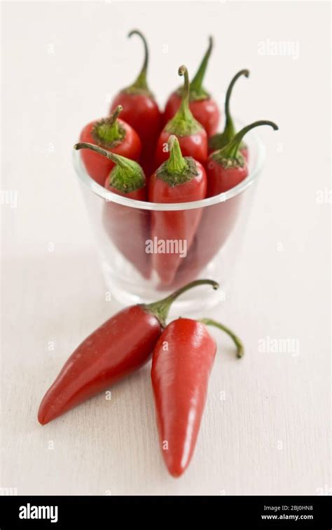 Red Hot Chili Peppers The Red Hot Chili Peppers Hi Res Stock