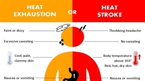 Doctors Say Look For Warning Signs Of Heat Exhaustion Katu