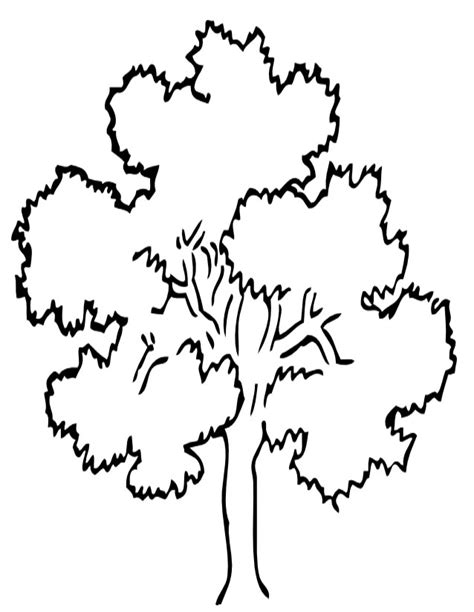 Imprimez cet arbre de 5 générations et utilisez votre plus belle plume pour écrire le nom de vos ancêtres. Coloriage arbre à imprimer gratuitement