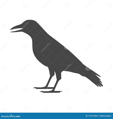 Crow Vector Illustration Design Crow Silhouette Stock Vector