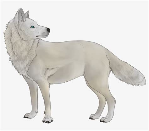 White Wolf Anime Some Examples Of Anime With Werewolf Characters