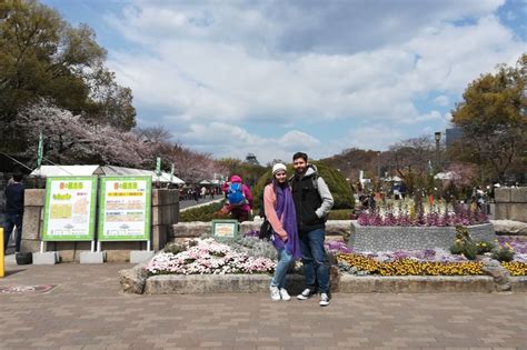 Osaka Spring Daytime Cherry Blossom Food Tour 2020 Arigato Travel